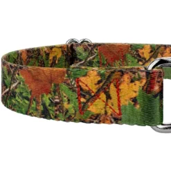 Country Brook Petz Southern Forest Camo Martingale Dog Collar -Pet Supplies Online GUEST e6d52b1c e8ea 47c7 b97a 41fabc901d57