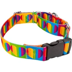 Country Brook Petz 1 1/2 Inch Rainbow Hearts Martingale W/Deluxe Buckle Dog Collar 9 Country Brook Petz 1 1/2 Inch Rainbow Hearts Martingale W/Deluxe Buckle Dog Collar -Pet Supplies Online GUEST e79c3ba4 b7d3 4816 b003 7ed792a29d0f