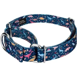 Country Brook Petz Dinosaurs Martingale Dog Collar And Leash -Pet Supplies Online GUEST e7b9ce28 ec2d 4ca4 a16b 9a83ebd0bd7c