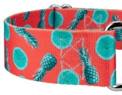 Country Brook Petz 1 1/2 Inch Tropical Tango Martingale Dog Collar -Pet Supplies Online GUEST e9b0fd49 c674 4768 95ab b364999af4eb
