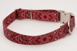 Country Brook Petz Premium Red Bandana Dog Collar -Pet Supplies Online GUEST e9f4da53 3b5d 4fb2 99f6 0bb5e283457c