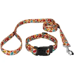 Country Brook Petz Deluxe Brisk Autumn Dog Collar And Leash -Pet Supplies Online GUEST e9f7a3e3 1f13 4842 8dc9 15d357738952