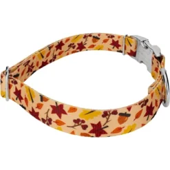 Country Brook Petz Premium Fall Foliage Dog Collar And Leash -Pet Supplies Online GUEST e9fde8ae 1426 4ec9 b44a 4bedb35ff7fd 1