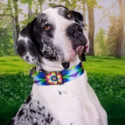 Country Brook Petz Tie Dye Flowers Martingale Dog Collar -Pet Supplies Online GUEST ea277c35 df23 4247 b769 92d68abc9d4b