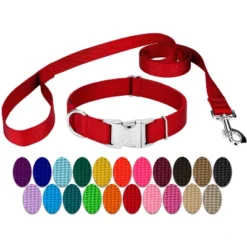 Country Brook Petz Premium Nylon Dog Collar And Leash Set For Small Medium Large Dogs - Vibrant 30+ Color Selection -Pet Supplies Online GUEST ead91749 35da 4de0 9100 2166d20b7491