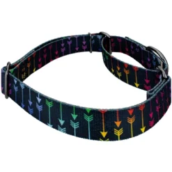 Country Brook Petz Martingale Dog Collar - Chevron And Arrows Collection -Pet Supplies Online GUEST eb758fe8 c57b 40c0 b99a bfdd1975a38f
