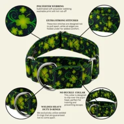 Country Brook Petz HossFit Jr Wide Martingale Dog Collar - Irish Pride 15 Country Brook Petz HossFit Jr Wide Martingale Dog Collar - Irish Pride -Pet Supplies Online GUEST eb7c82a1 6073 4b61 a017 8fe723877751