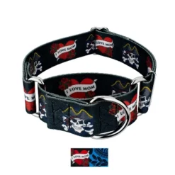 Country Brook Petz HossFit Jr Wide Martingale Dog Collar - Attitude Collection -Pet Supplies Online GUEST ec3489b4 2f40 4c3d bd73 c716d6306f24