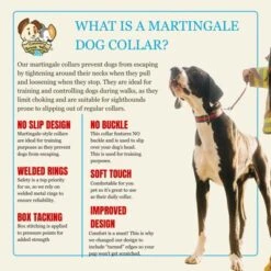 Country Brook Petz HossFit Jr Wide Reflective Martingale Dog Collar Collection Featuring Night Safe Designs -Pet Supplies Online GUEST ec9e63ff eede 4c30 9a58 3301bd962208