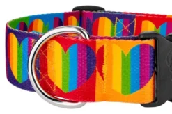 Country Brook Petz 1 1/2 Inch Deluxe Rainbow Hearts Dog Collar -Pet Supplies Online GUEST ecbffe09 0d2e 42cb b03c 40f95f4c7376