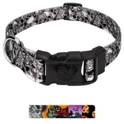 Country Brook Petz Deluxe Dog Collar Halloween Collection Made In The U.S.A. -Pet Supplies Online GUEST ece54961 d968 4b9e 8f0b edacaafa1f75