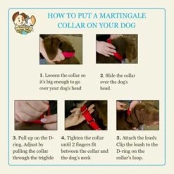 Country Brook Petz HossFit Jr Wide Martingale Dog Collar - Dog's Life Collection 15 Country Brook Petz HossFit Jr Wide Martingale Dog Collar - Dog's Life Collection -Pet Supplies Online GUEST ed3c5f50 5852 4f57 b196 cf3ee2279ff4