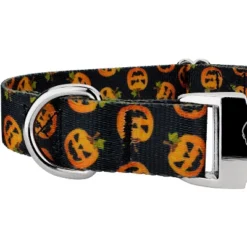 Country Brook Petz Premium Happy Jack Dog Collar -Pet Supplies Online GUEST eda746b9 0a10 4d8a 95b1 99291d4f9fef 1