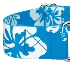 Country Brook Petz 1 1/2 Inch Blue Hawaiian Martingale Dog Collar -Pet Supplies Online GUEST ee571975 0239 41b4 af2f a2966db1d94a