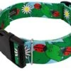 Country Brook Petz 1 1/2 Inch Deluxe Ladybug Picnic Dog Collar -Pet Supplies Online GUEST ee827d6c 4b0e 4a8a 8c80 255e19482762
