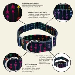 Country Brook Petz HossFit Jr Wide Martingale Dog Collar - Chevron And Arrows Collection -Pet Supplies Online GUEST ef32f33d 93e1 4291 9330 e13bbf9e3988