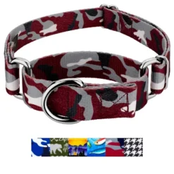 Country Brook Petz Martingale Dog Collar - Sports And Athletics Collection -Pet Supplies Online GUEST ef364b97 22bf 4fad a8f7 1a7b34fc87af