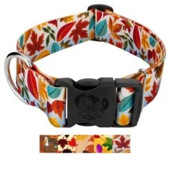 Country Brook Petz HossFit Jr Wide Deluxe Dog Collar - Awesome Autumn Collection -Pet Supplies Online GUEST ef4b5c55 5caf 496a b624 b6624d069bb0