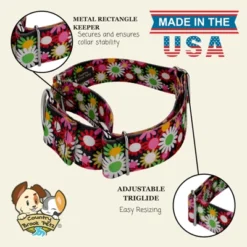 Country Brook Petz HossFit Jr Wide Martingale Dog Collar - Floral Collection -Pet Supplies Online GUEST efe84d7a 88bf 4f0b a856 534460ec47bf