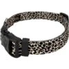 Country Brook Petz Deluxe Cheetah Dog Collar - Made In The U.S.A (1 Inch, Medium) -Pet Supplies Online GUEST f0144474 2795 48b5 a776 c01c366661bf