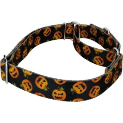 Country Brook Petz Happy Jack Martingale Dog Collar And Leash -Pet Supplies Online GUEST f04926f8 aa2d 4c7a 9b7f 88e3024e7652