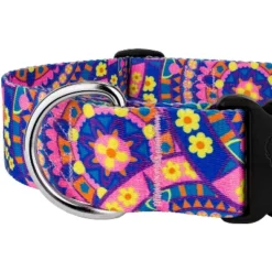 Country Brook Petz HossFit Jr Wide Deluxe Dog Collar - Groovy Collection 9 Country Brook Petz HossFit Jr Wide Deluxe Dog Collar - Groovy Collection -Pet Supplies Online GUEST f05bbc1d 7ed0 472f 8292 1c82199a7aae
