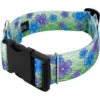 Country Brook Petz HossFit Jr Wide Deluxe Dog Collar - Spring Collection -Pet Supplies Online GUEST f060b58f c0b6 4afe 9b6a 48c1add95a2b