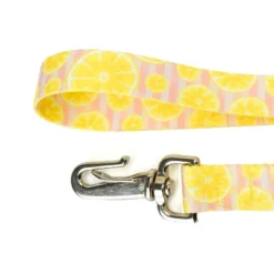 Country Brook Petz 6 Foot Dog Leash - Tasty Collection -Pet Supplies Online GUEST f0835469 2549 4982 927a a382588fc23a