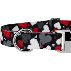 Country Brook Petz Premium Dog Collar - Affection Collection -Pet Supplies Online GUEST f0bbd2ba 9471 4d1b a74f 31a8f2d2eb24