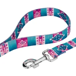 Country Brook Petz Albuquerque Deluxe Dog Collar And Leash -Pet Supplies Online GUEST f0c7c09b 85cc 4249 8b4f 6c3e41621f91 1