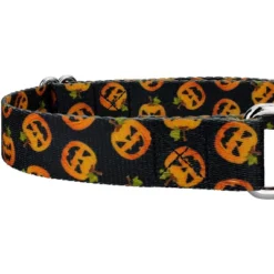 Country Brook Petz Happy Jack Martingale Dog Collar And Leash -Pet Supplies Online GUEST f0cd6ea8 c6d7 4707 b565 b980bc03d4d6