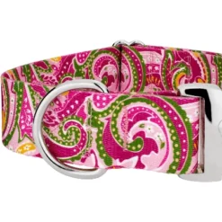 Country Brook Petz 1 1/2 Inch Premium Pink Paisley Dog Collar -Pet Supplies Online GUEST f196f7df 3dd4 4fb7 865f 2be3802ddd60