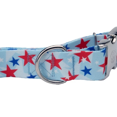 Country Brook Petz HossFit Jr Wide Premium Dog Collar - Americana Collection 4 Country Brook Petz HossFit Jr Wide Premium Dog Collar - Americana Collection - Image 2
