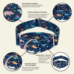 Country Brook Petz HossFit Jr Wide Martingale Dog Collar - Critter Corner Collection 14 Country Brook Petz HossFit Jr Wide Martingale Dog Collar - Critter Corner Collection -Pet Supplies Online GUEST f35ffa6d b813 42b4 abb4 255d4f9bd76a