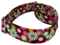 Country Brook Petz 1 1/2 Inch Daisy Fields Martingale Dog Collar -Pet Supplies Online GUEST f3b566c5 5777 4758 9628 9b7f28adaded