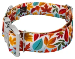 Country Brook Petz 1 1/2 Inch Premium Brisk Autumn Dog Collar