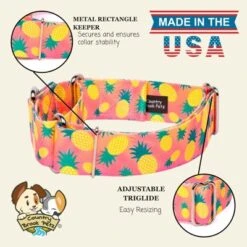 Country Brook Petz HossFit Jr Wide Martingale Dog Collar, Tasty Collection -Pet Supplies Online GUEST f4316637 0894 46ac b1a7 05404eeb3609