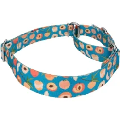 Country Brook Petz Peaches Martingale Dog Collar -Pet Supplies Online GUEST f44ca785 f4b8 4eff a480 b37fb33fc535