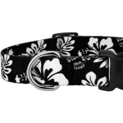 Country Brook Petz Black Hawaiian Deluxe Dog Collar And Leash -Pet Supplies Online GUEST f4ddec2c 830f 4a8d bb56 00fa0f241bd4