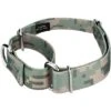 Country Brook Petz Digital Camo Martingale Dog Collar And Leash -Pet Supplies Online GUEST f636d7ad 6c79 460c 9a4c 69b19d5b6fdb 1