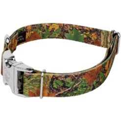 Country Brook Petz Premium Southern Forest Camo Dog Collar