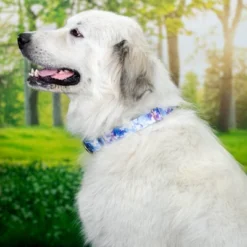 Country Brook Petz - Watercolor Butterflies Martingale Dog Collar -Pet Supplies Online GUEST f6cad28d 5f44 4d28 97b2 30324ec47abf