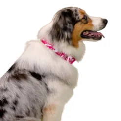 Country Brook Petz 1 1/2 Inch Pink Hawaiian Martingale Dog Collar 16 Country Brook Petz 1 1/2 Inch Pink Hawaiian Martingale Dog Collar -Pet Supplies Online GUEST f723ac55 8911 4245 829c c7a36cf91d32