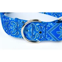Country Brook Petz HossFit Jr Wide Premium Dog Collar - Country And Western Collection -Pet Supplies Online GUEST f8379333 ef8b 4e3d 8324 847a3031e04f