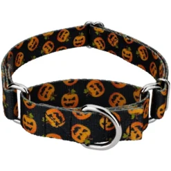 Country Brook Petz Happy Jack Martingale Dog Collar -Pet Supplies Online GUEST f8948188 e6c3 4d67 b133 bc9b38fc0d0e