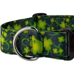 Country Brook Petz HossFit Jr Wide Deluxe Dog Collar - Irish Pride Collection 8 Country Brook Petz HossFit Jr Wide Deluxe Dog Collar - Irish Pride Collection -Pet Supplies Online GUEST f8bfcbcc d12e 41f5 be7d 280b236f30b6