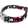 Country Brook Petz Premium Dog Collar - Affection Collection