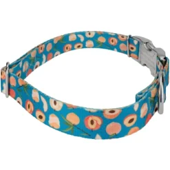 Country Brook Petz Premium Dog Collar - Tasty Collection -Pet Supplies Online GUEST fa1a24ec 6299 4ea9 ae8f 66b0e29b82ff