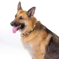 Country Brook Petz Native Arizona Martingale Dog Collar -Pet Supplies Online GUEST fa6ebcf8 c6df 44f6 93aa 04be194d4311 1