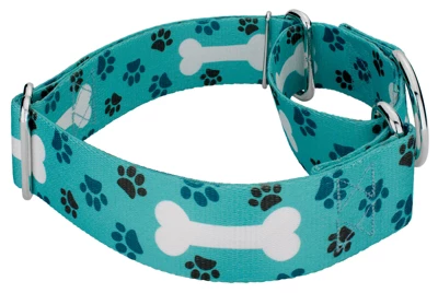 Country Brook Petz 1 1/2 Inch Oh My Dog Martingale Dog Collar 4 Country Brook Petz 1 1/2 Inch Oh My Dog Martingale Dog Collar - Image 2